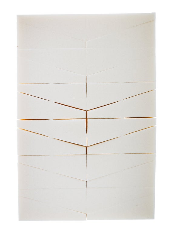 Meikkisieni 24 esileikattu